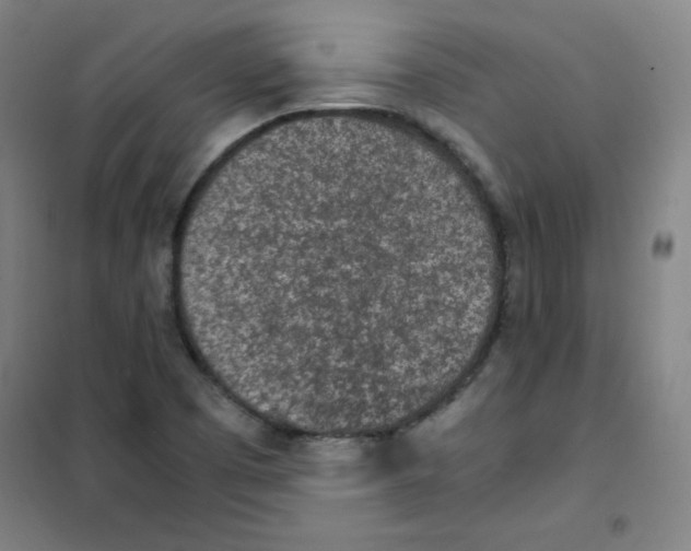 X0000101391457200808041006