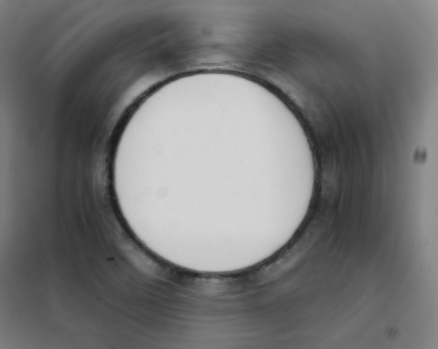 X0000101391458200808041006