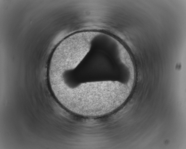 X0000101391459200808041006