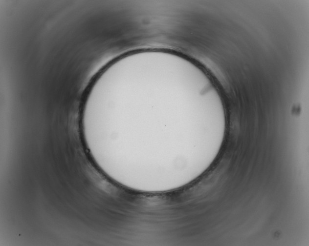 X0000101391460200808041006