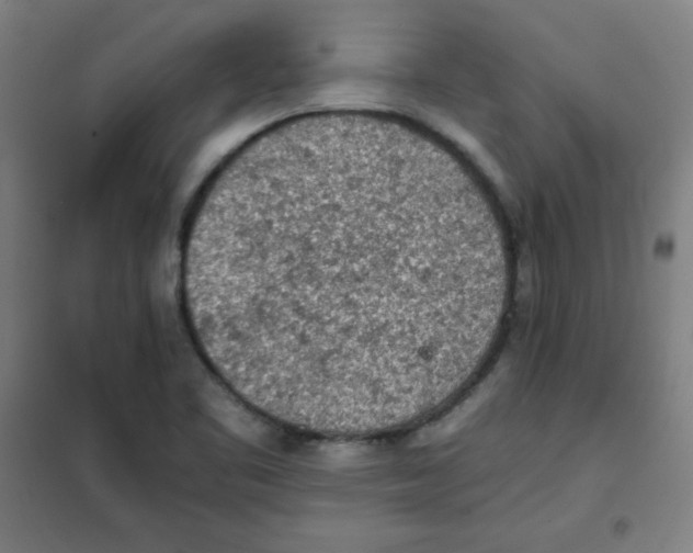 X0000101391461200808041005