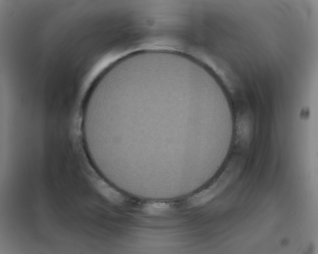 X0000101391462200808041005