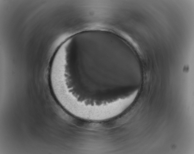 X0000101391463200808041005