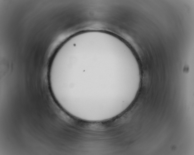 X0000101391464200808041005