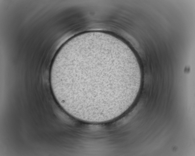 X0000101391465200808041005
