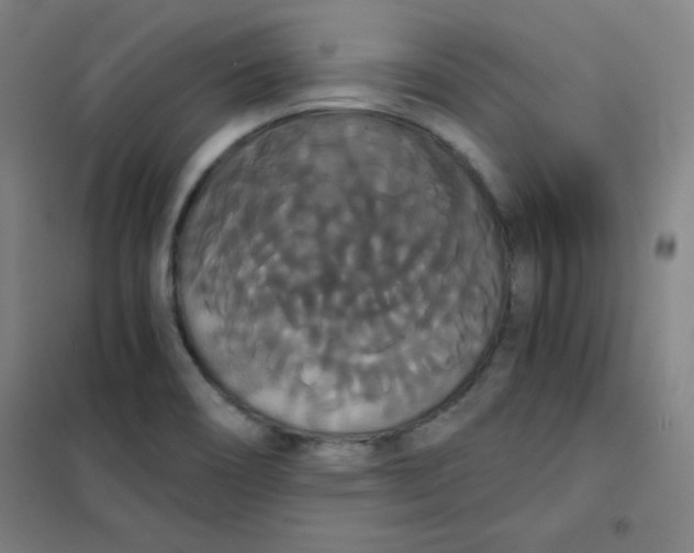 X0000101391466200808041005