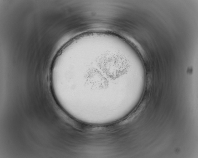 X0000101391467200808041005