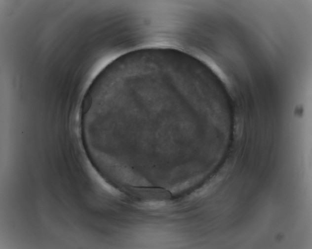 X0000101391468200808041005