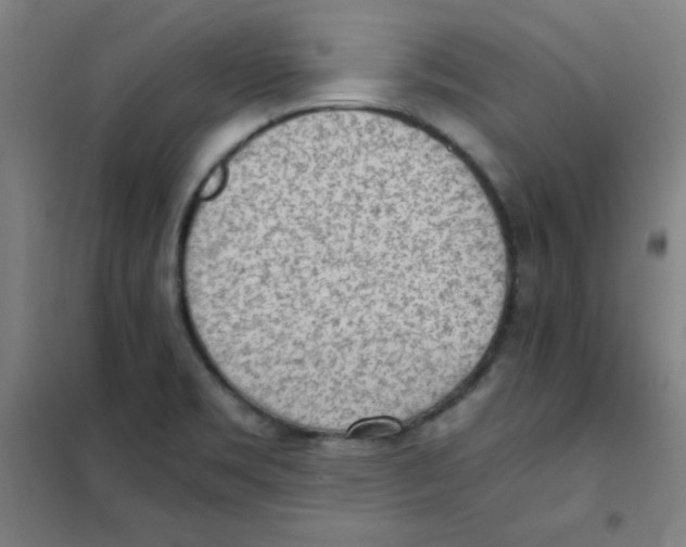 X0000101391469200808041005