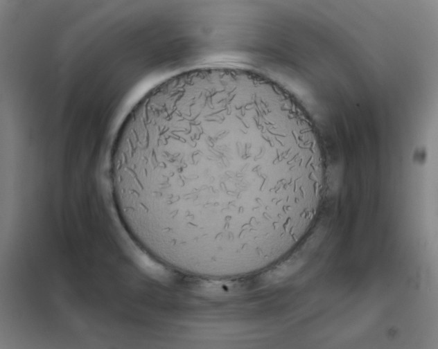 X0000101391470200808041005