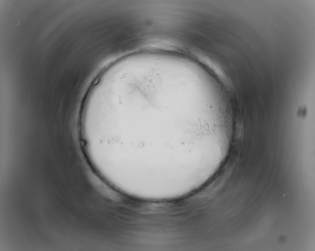 X0000101391471200808041005
