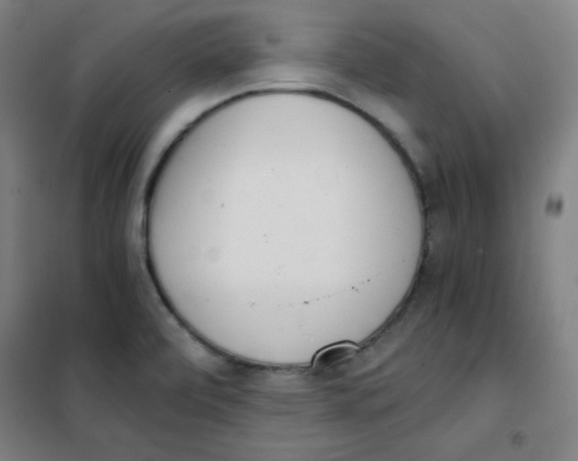 X0000101391472200808041005