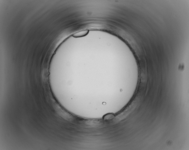 X0000101391473200808041005