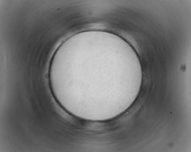 X0000101391475200808041005