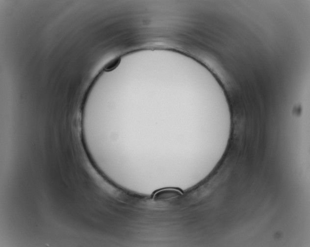 X0000101391476200808041005