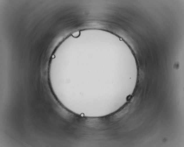 X0000101391477200808041005