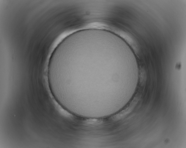 X0000101391478200808041005
