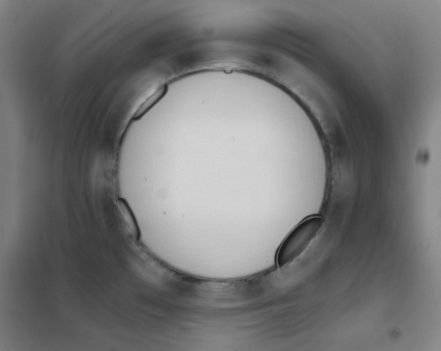 X0000101391481200808041005