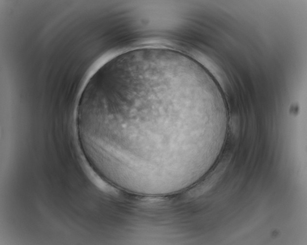 X0000101391482200808041005