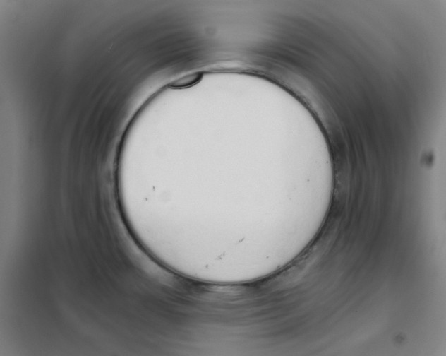 X0000101391483200808041005