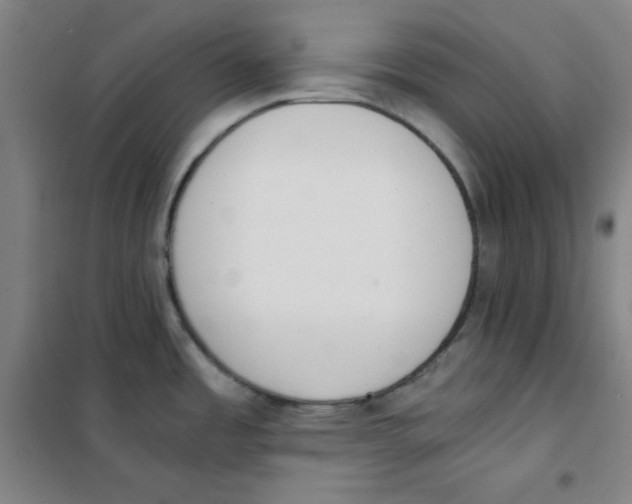 X0000101391485200808041005