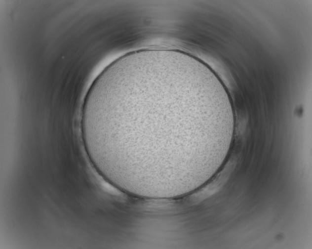 X0000101391486200808041005