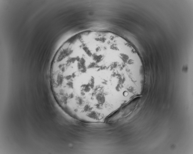 X0000101391487200808041005