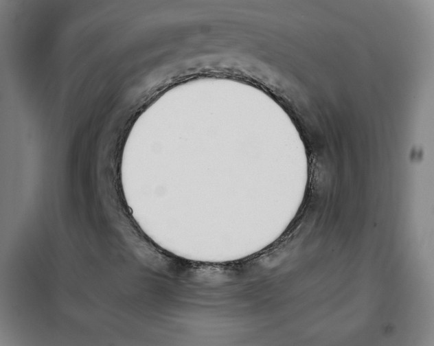 X0000101391489200808041004