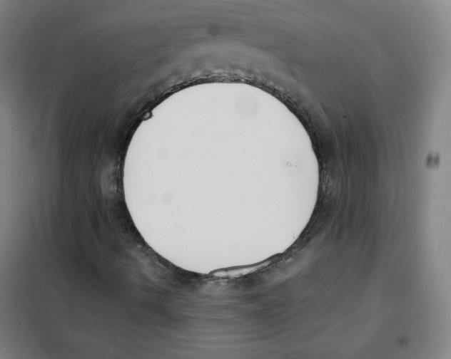 X0000101391490200808041004