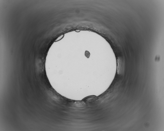 X0000101391491200808041004