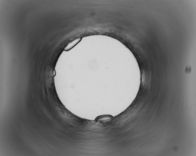 X0000101391492200808041005