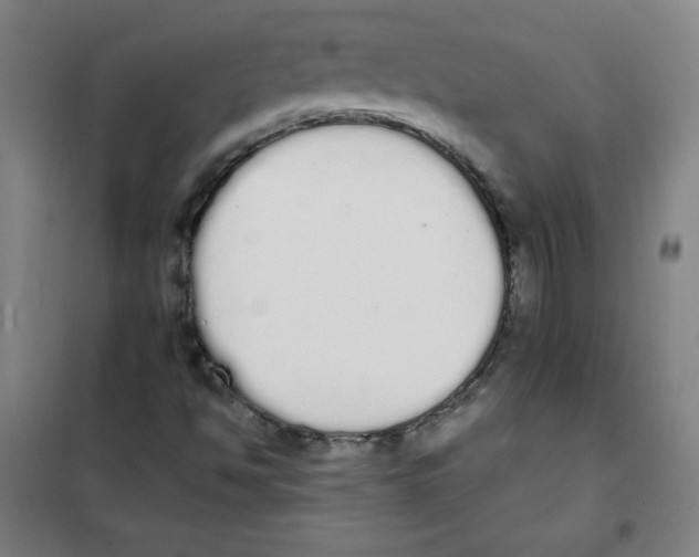 X0000101391494200808041005