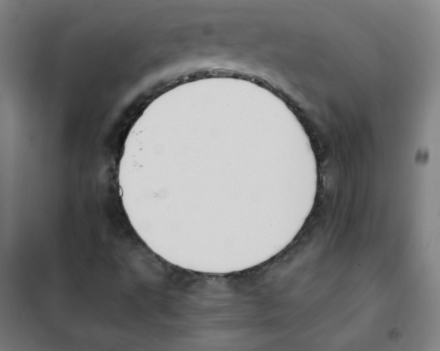 X0000101391495200808041005