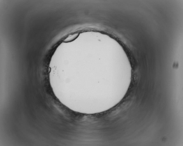 X0000101391496200808041005