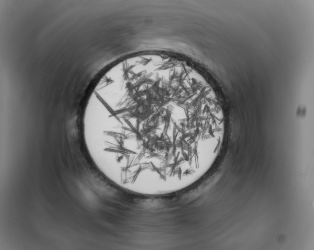 X0000101391497200808041005