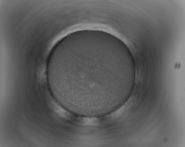 X0000101391498200808041005