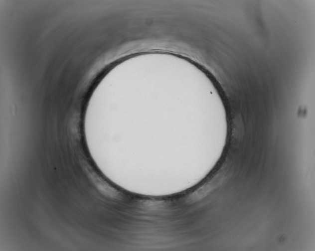 X0000101391499200808041005