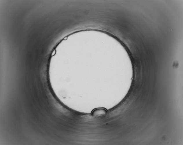 X0000101391500200808041005