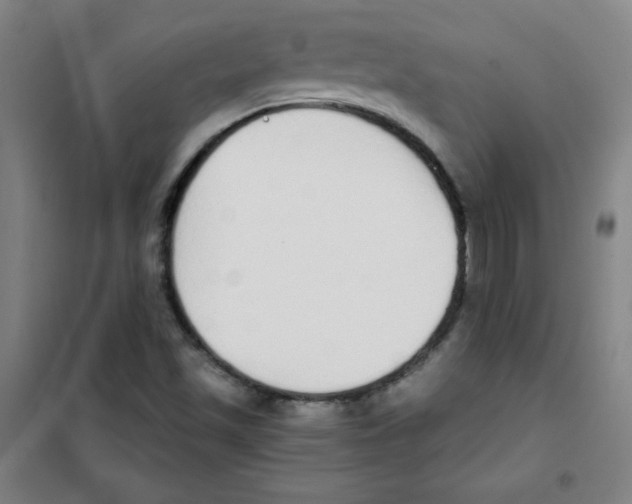 X0000101391501200808041005