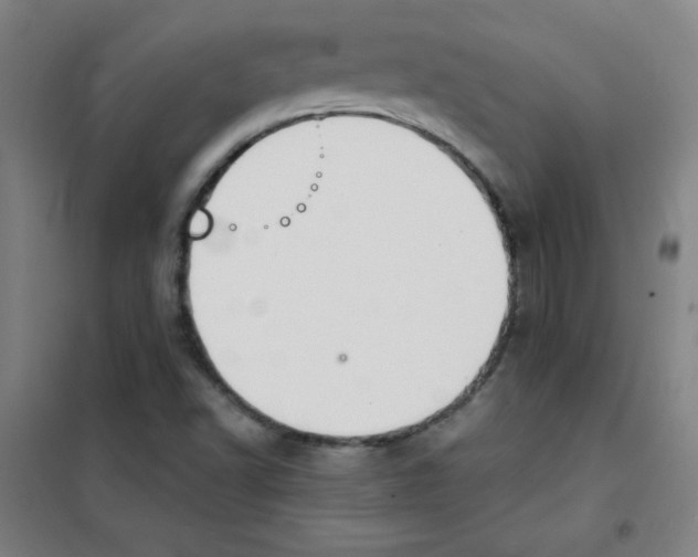X0000101391502200808041005