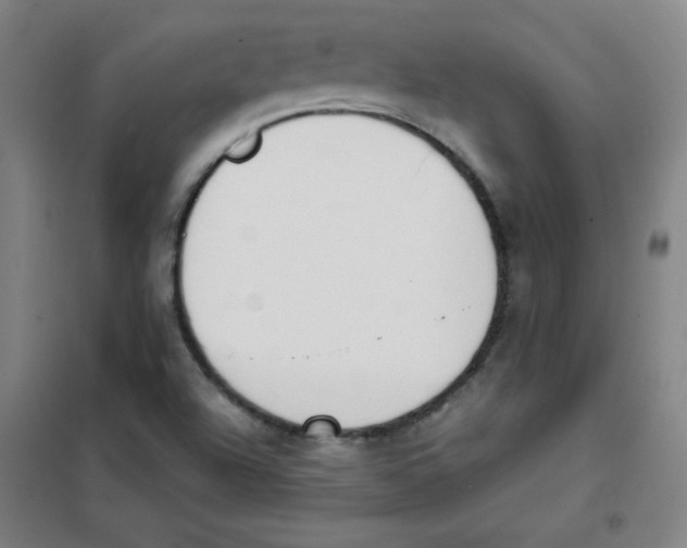 X0000101391504200808041005
