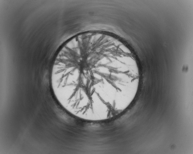 X0000101391505200808041005