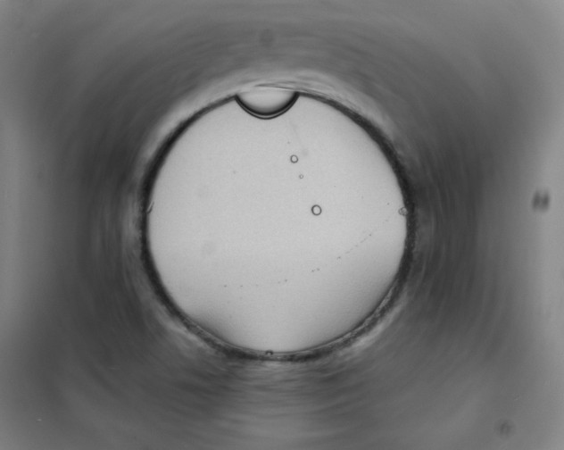 X0000101391506200808041005
