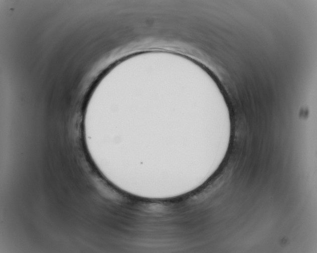 X0000101391507200808041005