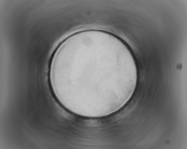 X0000101391508200808041005