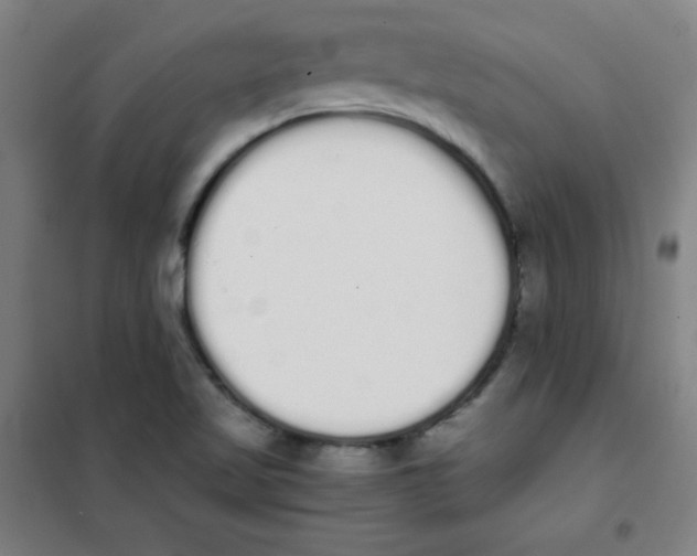 X0000101391509200808041005