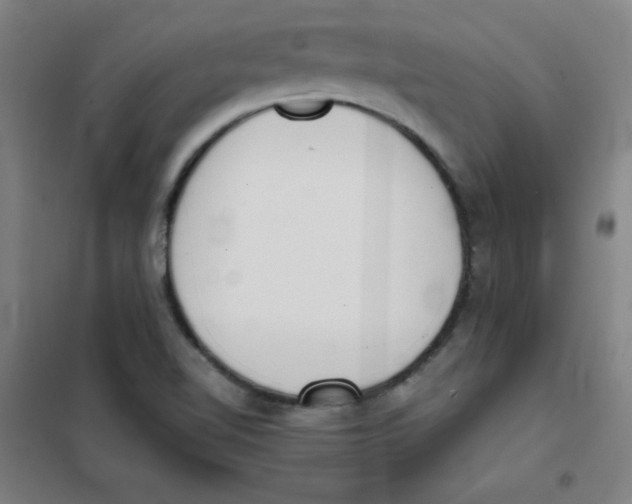 X0000101391510200808041005