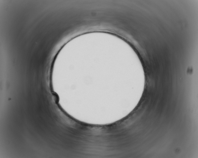 X0000101391512200808041005