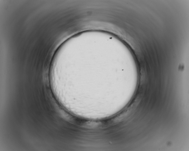 X0000101391513200808041005