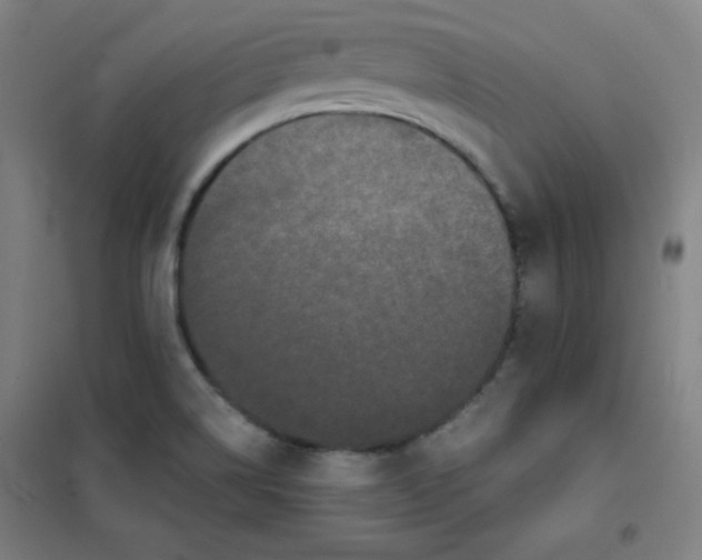 X0000101391514200808041005